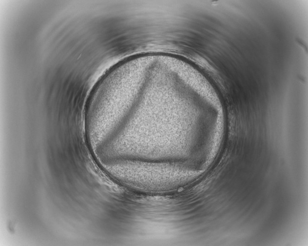 X0000101441280200807281014