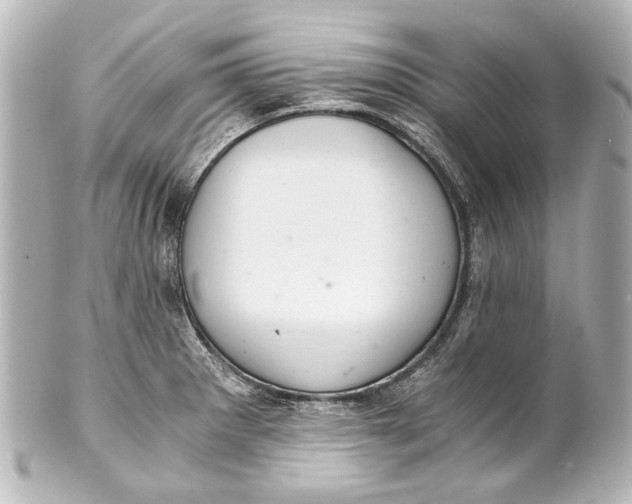 X0000101441281200807281014