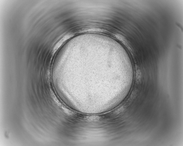 X0000101441282200807281014