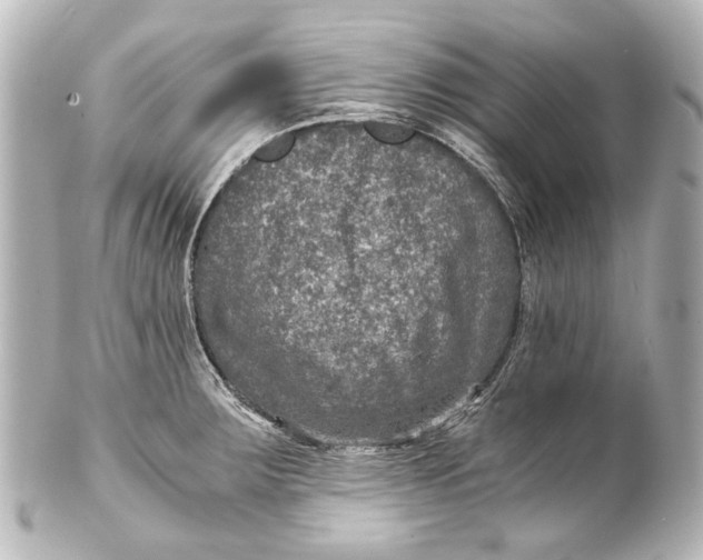 X0000101441283200807281014