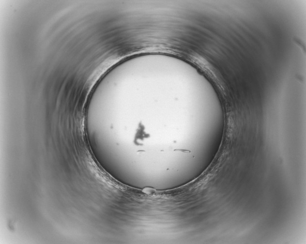 X0000101441284200807281014