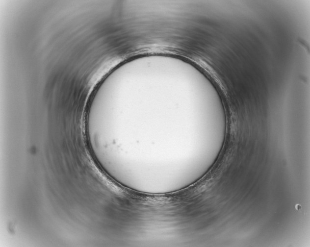 X0000101441285200807281014