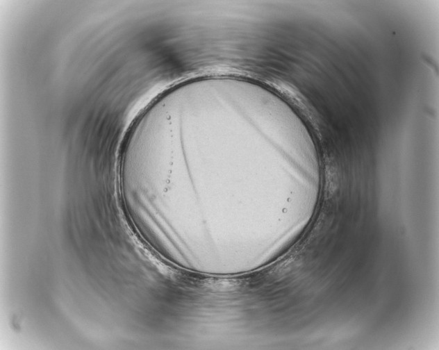 X0000101441286200807281014