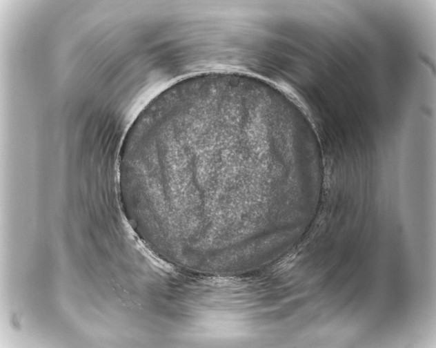 X0000101441287200807281014