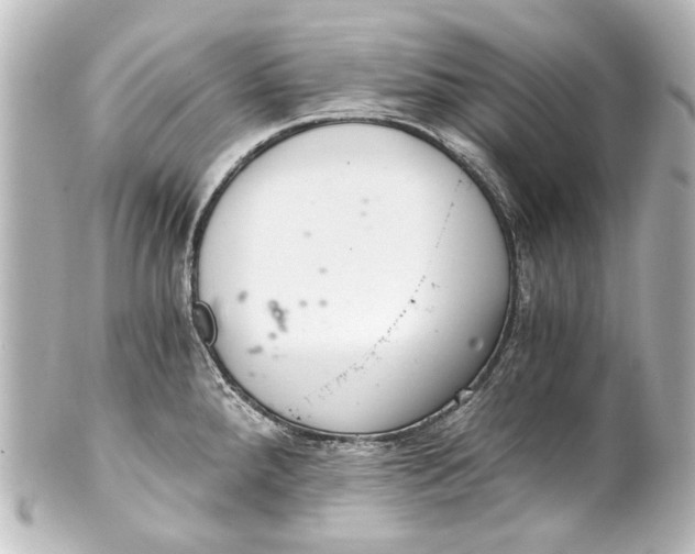 X0000101441288200807281014