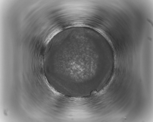 X0000101441289200807281014