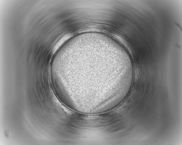 X0000101441290200807281014