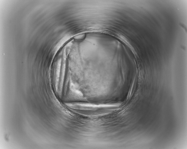 X0000101441291200807281014