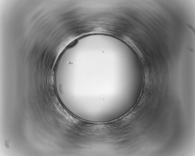 X0000101441292200807281014