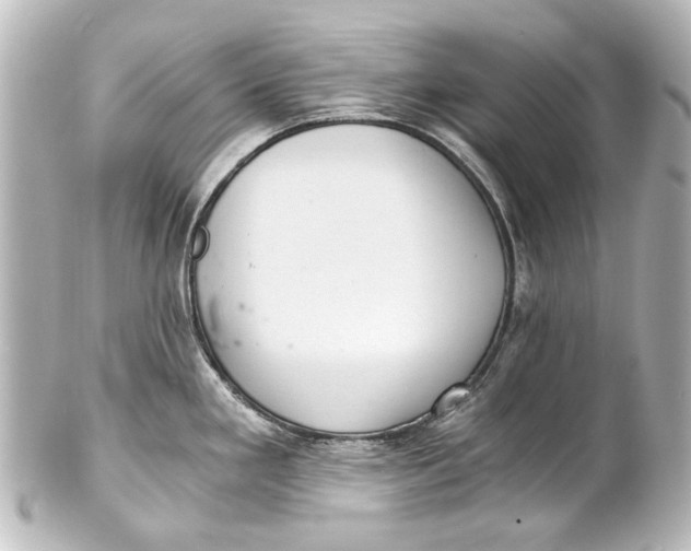 X0000101441293200807281014