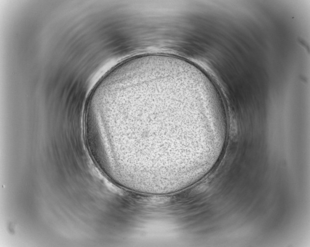 X0000101441294200807281014