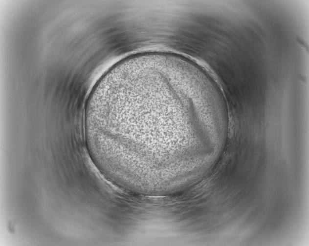 X0000101441295200807281014