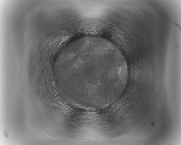 X0000101441297200807281013