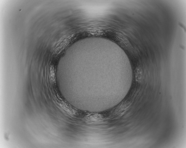 X0000101441298200807281013