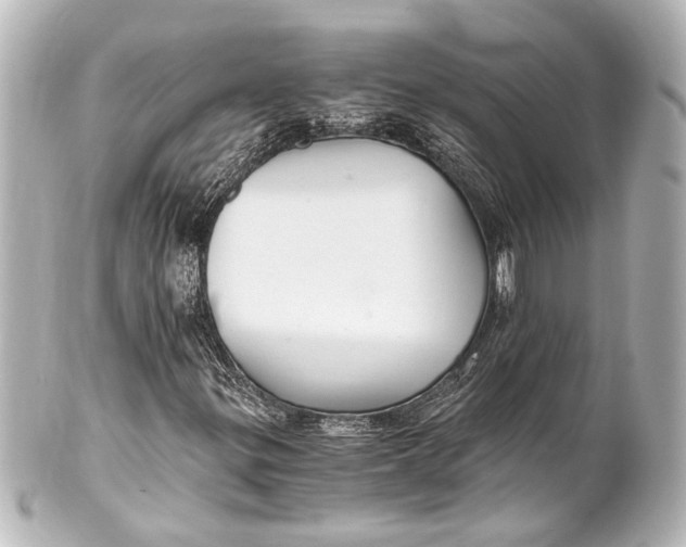 X0000101441299200807281013