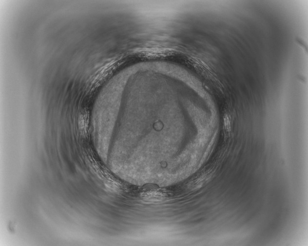 X0000101441300200807281014