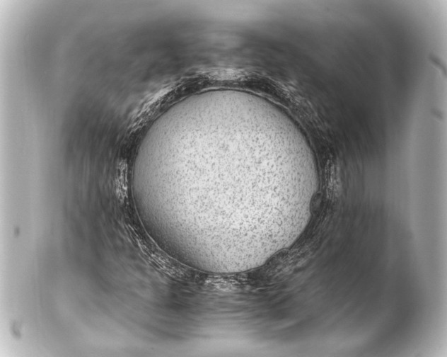 X0000101441301200807281014