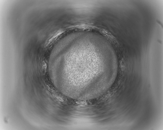 X0000101441302200807281014