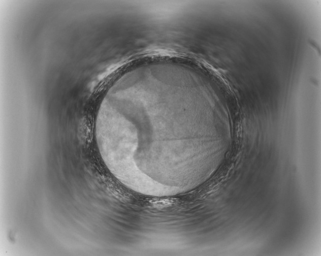 X0000101441303200807281014