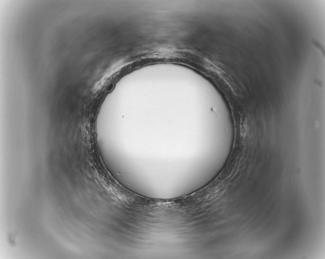 X0000101441304200807281014