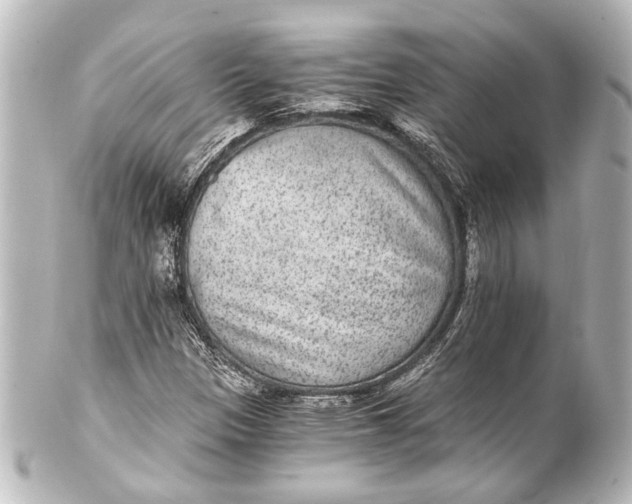 X0000101441305200807281014