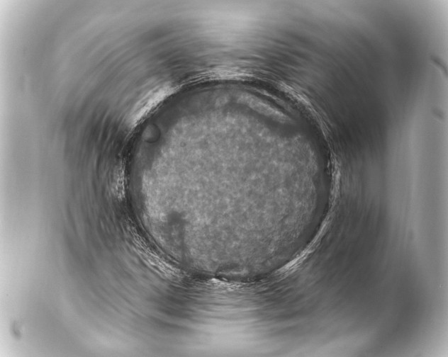 X0000101441306200807281014