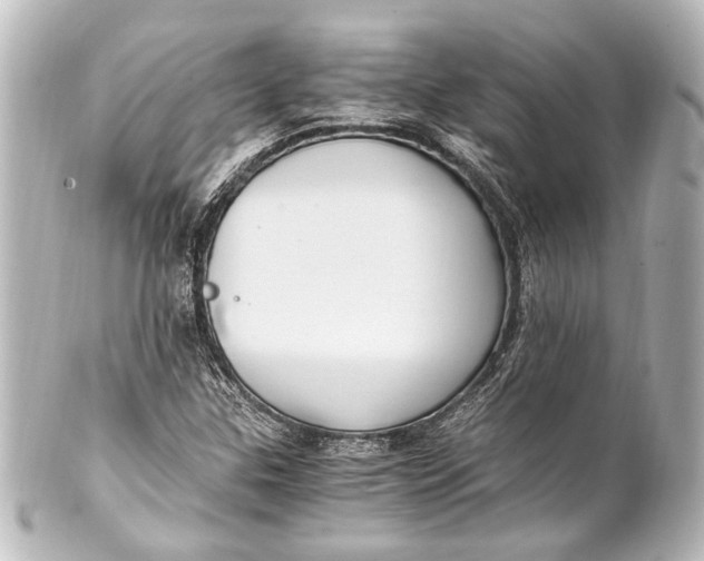 X0000101441307200807281014