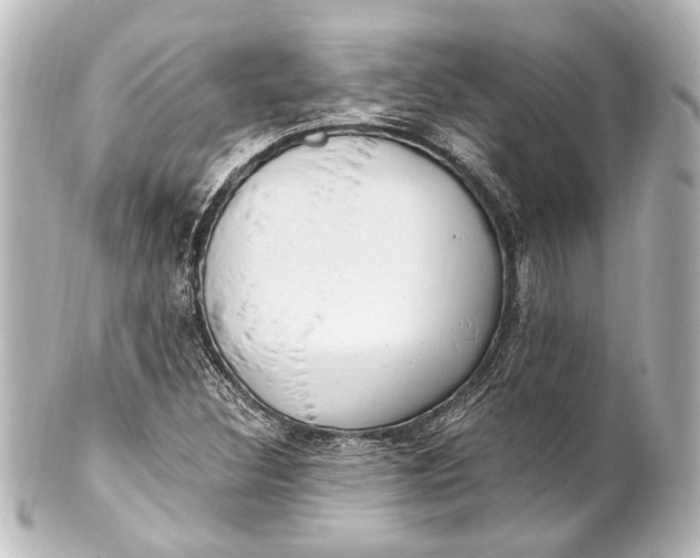 X0000101441308200807281014