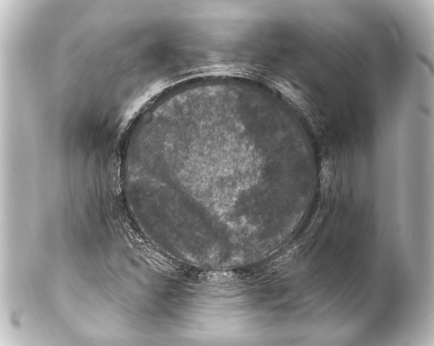 X0000101441310200807281014