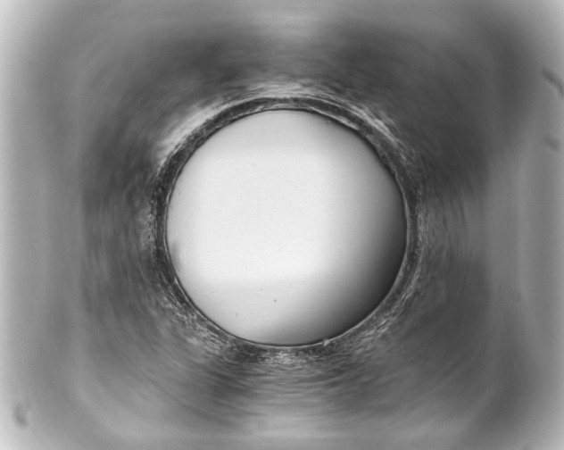 X0000101441311200807281014