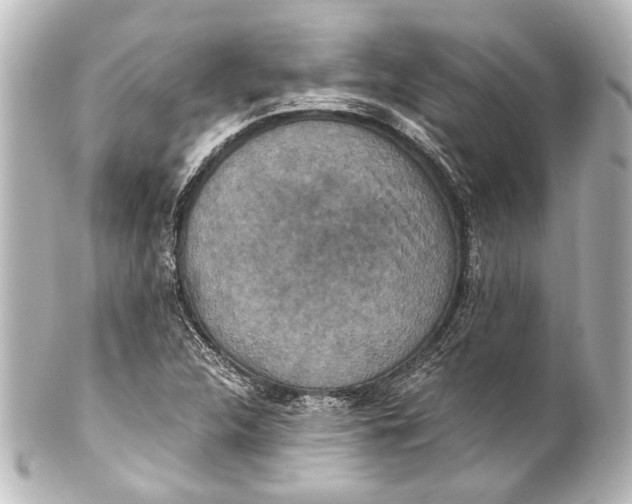 X0000101441312200807281014