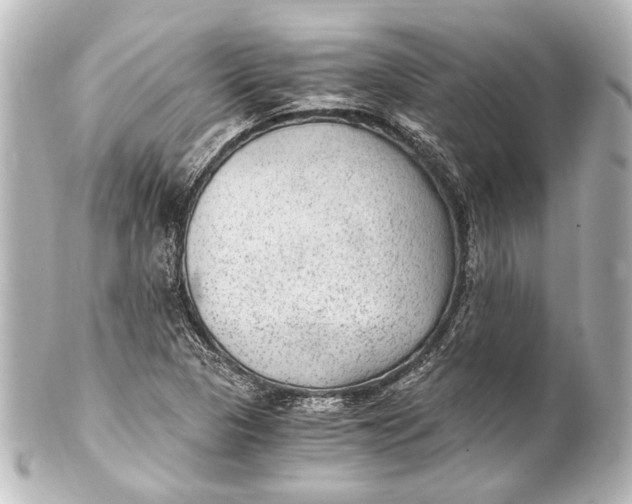 X0000101441313200807281014