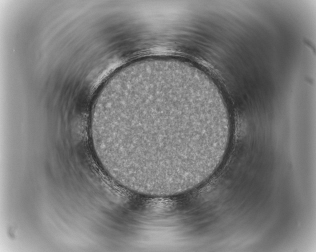 X0000101441314200807281014