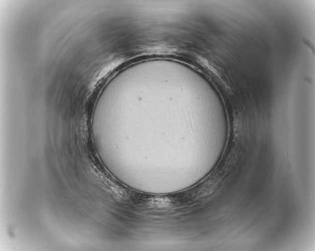 X0000101441315200807281014