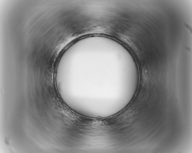 X0000101441316200807281014