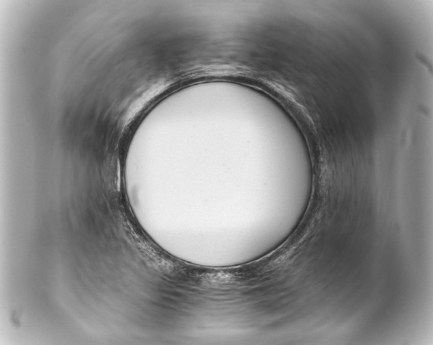 X0000101441317200807281014