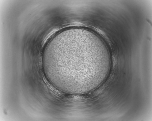 X0000101441318200807281014