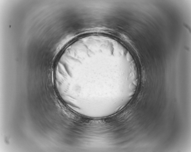 X0000101441320200807281014