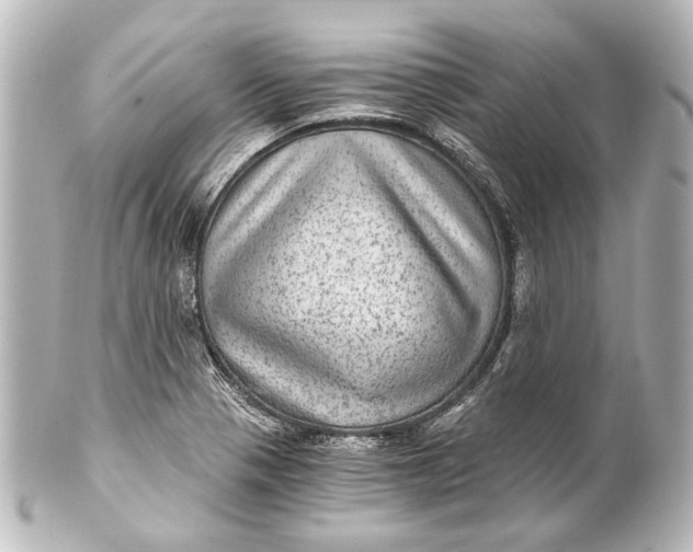 X0000101441321200807281014