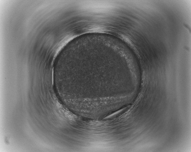 X0000101441323200807281014