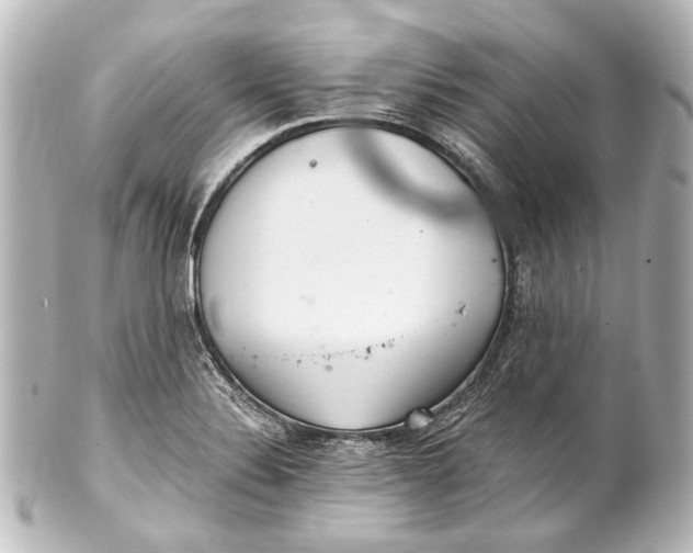 X0000101441324200807281014