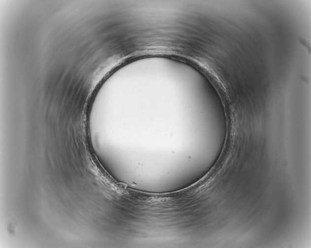 X0000101441325200807281014