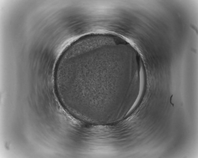 X0000101441327200807281014