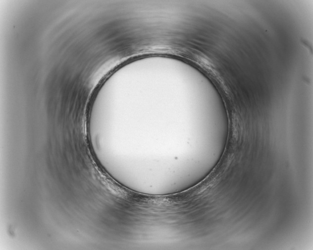 X0000101441328200807281014