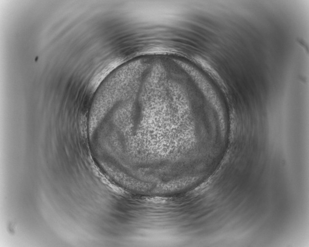 X0000101441329200807281014