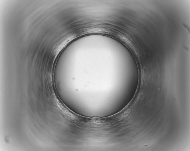 X0000101441330200807281014