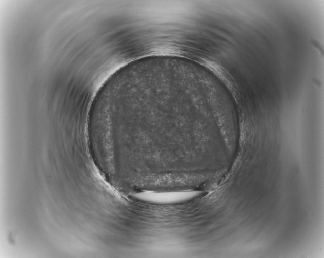 X0000101441331200807281014