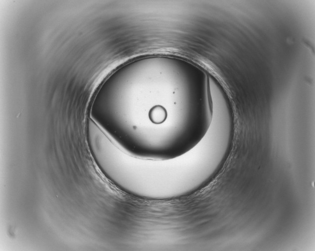 X0000101441332200807281014