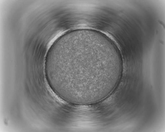 X0000101441333200807281014