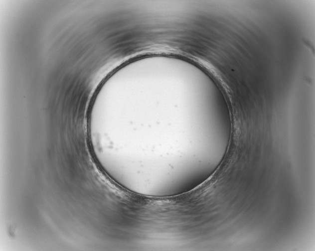 X0000101441335200807281014